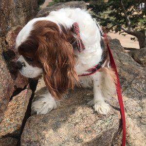 Meet your Posher, Makenna